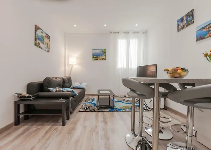 Appartement Center Barralis Nice